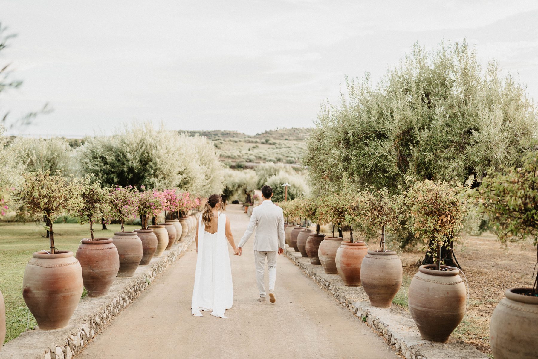 Walking the olive-lined path between terracotta urns