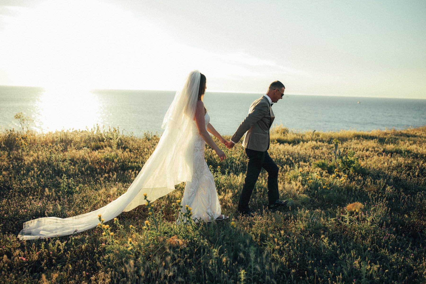 A walk through the wild coastal meadow at sunset